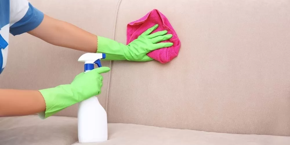 Remove germs from couch with soap and water