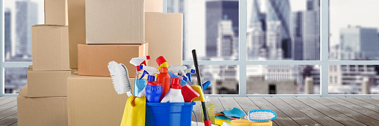 Move-in and Move-out Cleaning