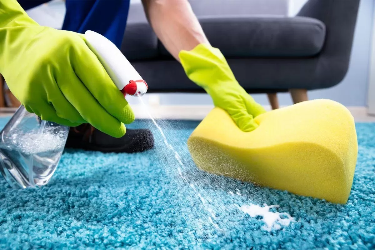 get rid of paint stains on the carpet