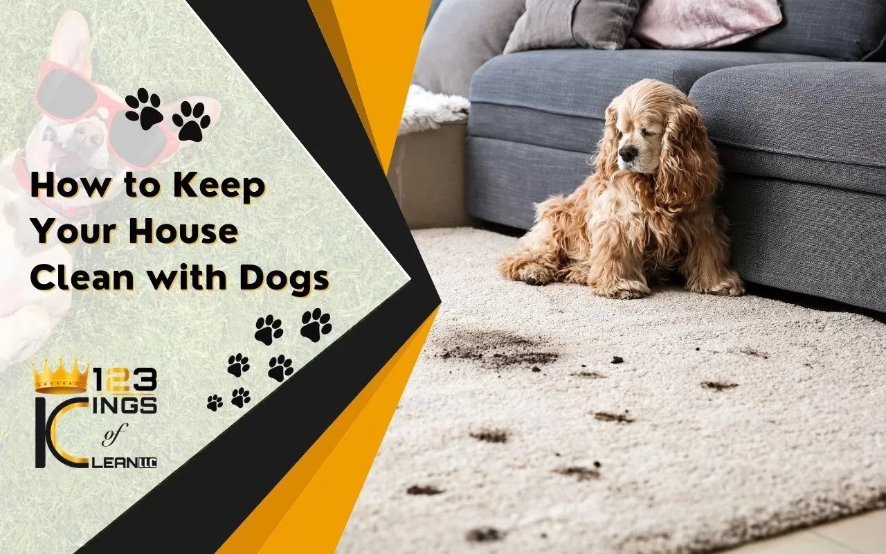 How to Keep Your House Clean with Dogs